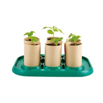 Hape Plant Growing Wooden Greenhouse Kits for Kids STEM Project Activity| Green Toys Gardening Science Gifts for Kids Ages 4Y+