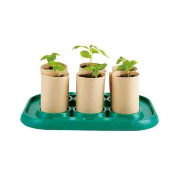 Hape Plant Growing Wooden Greenhouse Kit for Kids