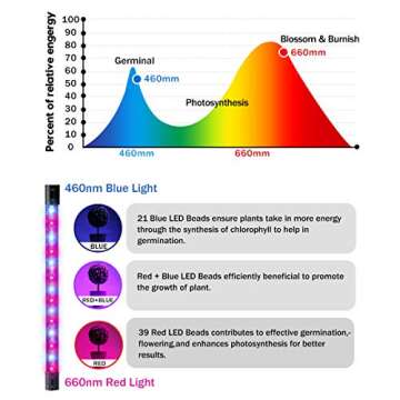 Winjoy Grow Light, 30W LED Grow Lamp Bulbs Plant Lights Full Spectrum, Auto ON & Off with 3/6/12H Timer 5 Dimmable Levels Clip-On Desk Grow Lamp, Triple Head Adjustable Gooseneck for Indoor Plants
