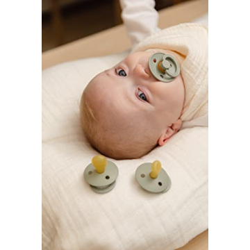 Stylish BIBS Pacifiers Colour Collection for Babies