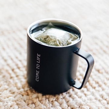 Guayakí Yerba Mate Organic Traditional Tea Bags 75 Count