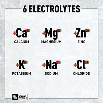 Zeal Naturals Electrolyte Powder Recovery Drink (90 Servings | Cherry Limeade) w 0 Sugar +BCAAs +B-Vitamins Electrolyte Supplement w Potassium Zinc & Magnesium for Hydration - Keto Electrolytes