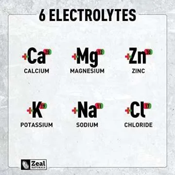 Zeal Naturals Electrolyte Powder Recovery Drink (90 Servings | Cherry Limeade) w 0 Sugar +BCAAs +B-Vitamins Electrolyte Supplement w Potassium Zinc & Magnesium for Hydration - Keto Electrolytes