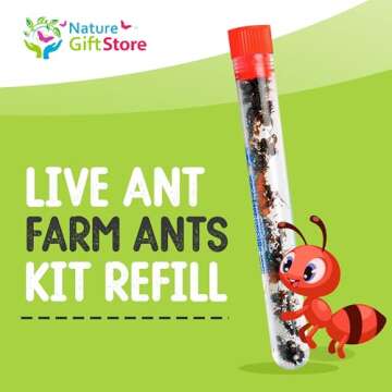 25 Live Red Harvester Ants for Ant Habitats - Live Arrival, Shipped Now - Perfect for Educational Sc...