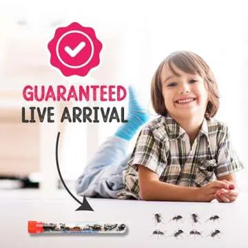 25 Live Red Harvester Ants for Ant Habitats - Live Arrival, Shipped Now - Perfect for Educational Science Projects & Interactive Ant Habitat Experience