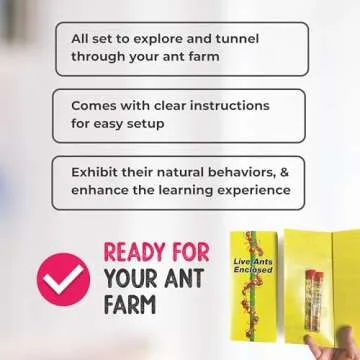 25 Live Red Harvester Ants for Ant Habitats - Live Arrival, Shipped Now - Perfect for Educational Science Projects & Interactive Ant Habitat Experience