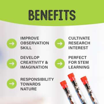 25 Live Red Harvester Ants for Ant Habitats - Live Arrival, Shipped Now - Perfect for Educational Science Projects & Interactive Ant Habitat Experience