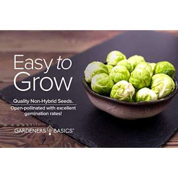 Brussels Sprouts Seeds - Long Island Heirloom, Non-GMO Variety