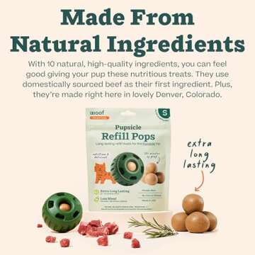 WOOF Pupsicle Refill Pops - Low-Mess Dog Snacks - with Peanut Butter and Beef - Dog Treats - Long Lasting - Small Pops - 10 Count