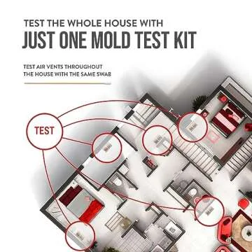 BioCide Labs DIY Mold Test Kit - Home Air Quality Testing
