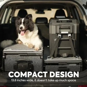 ICECO JP40 Pro Portable Refrigerator for Car and Home