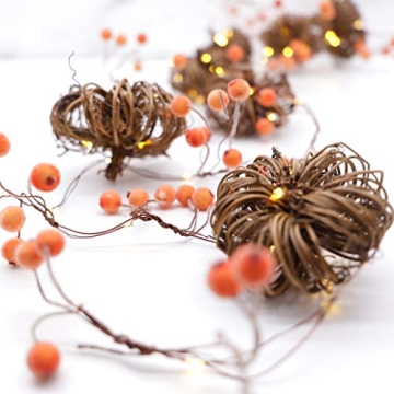 MIYA Life Pumpkin String Lights 10FT - Fall Decor Lights