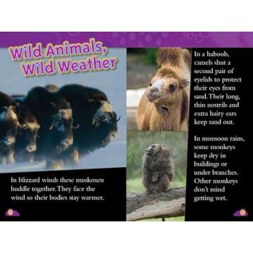 Discover Storms: Engaging Weather Reader for Kids