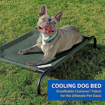Coolaroo Elevated Dog Bed for Year-Round Comfort