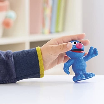 Playskool Sesame Street 5 Figure Collector Pack for Kids