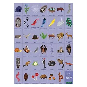 Mudpuppy Woodland Forest — 64 Piece Search & Find Puzzle Jigsaw Puzzle Featuring Diverse Woodland Animals and Over 40 Hidden Images to Find for Ages 4+