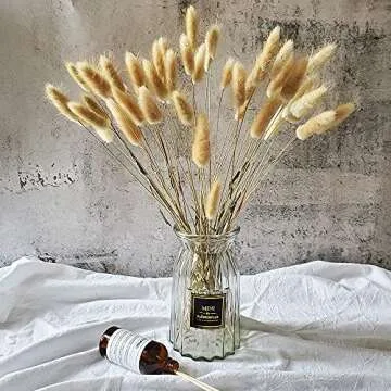 Natural Dried Lagurus Ovatus 100 Pcs - Boho Home Decor Bouquet, Dried Bunny Tails Pampas for Arrange...