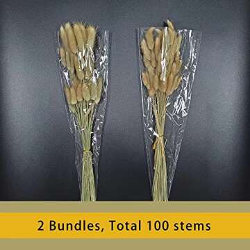 Natural Dried Lagurus Ovatus 100 Pcs for Boho Decor