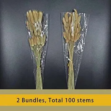 Natural Dried Lagurus Ovatus 100 Pcs for Boho Decor