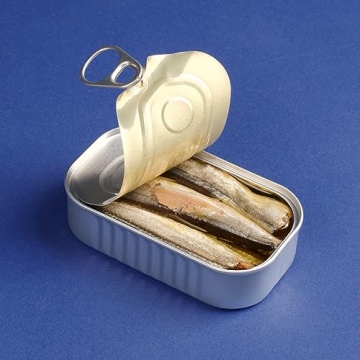 Delicious Garfish in Olive Oil - Tinned Fish Delight