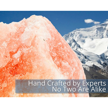 HemingWeigh Himalayan Salt Lamp with Wood Base and Dimmer Control