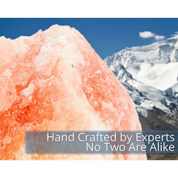 HemingWeigh Himalayan Salt Lamp with Wood Base and Dimmer Control