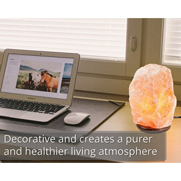 HemingWeigh Himalayan Salt Lamp with Wood Base and Dimmer Control