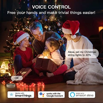 Smart Dimmer Plug with Voice Control for Outdoor Lighting