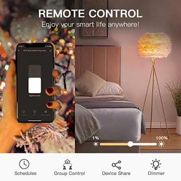 Smart Dimmer Plug with Voice Control for Outdoor Lighting