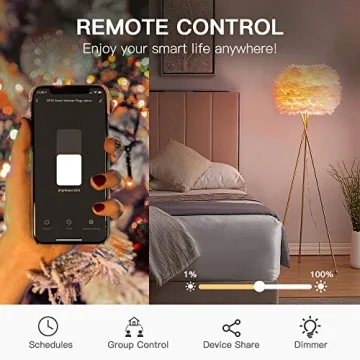 Smart Dimmer Plug with Voice Control for Outdoor Lighting