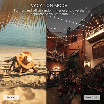 Smart Dimmer Plug with Voice Control for Outdoor Lighting