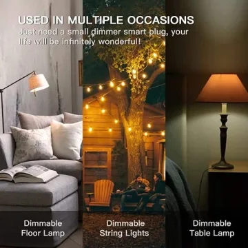 Smart Dimmer Plug with Voice Control for Outdoor Lighting