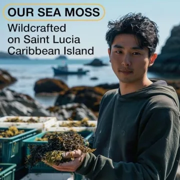 TrueSeaMoss Irish Sea Moss Gel - Wildcrafted Superfood