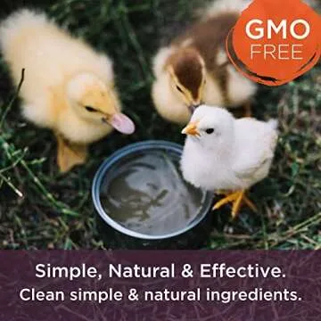 Dr. Connie's Probiotic + Electrolyte for Farm Animals