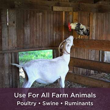 Dr. Connie's Probiotic + Electrolyte for Farm Animals