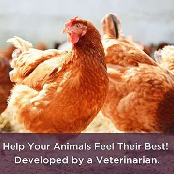 Dr. Connie's Probiotic + Electrolyte for Farm Animals