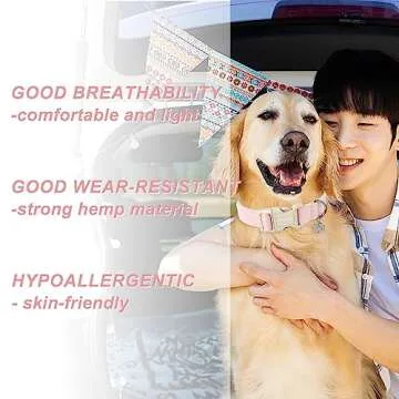 Comfortable and Stylish DOGWONG Dog Collar