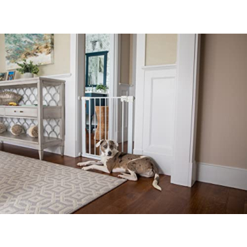 Safety 1st Easy Install Walk Thru Baby & Pet Gate