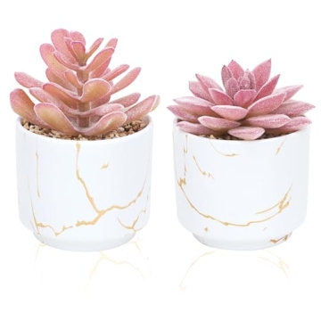 CEWOR 2pcs Succulents Plants Artificial Pink Office Decor for Women, Fake Succulents in Ceramic Pots...