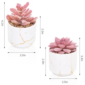 CEWOR 2pcs Succulents Plants for Home Office Decor