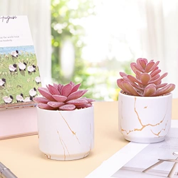 CEWOR 2pcs Succulents Plants for Home Office Decor