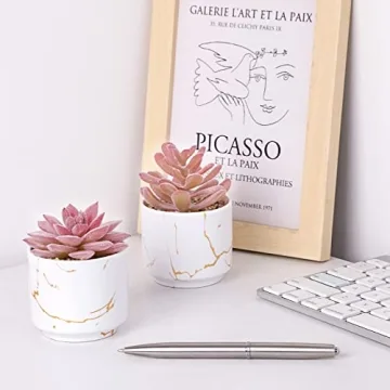 CEWOR 2pcs Succulents Plants for Home Office Decor