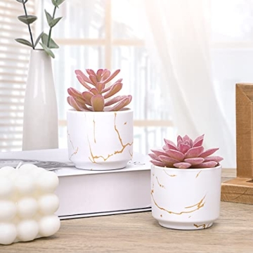 CEWOR 2pcs Succulents Plants for Home Office Decor