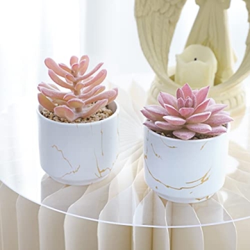CEWOR 2pcs Succulents Plants for Home Office Decor