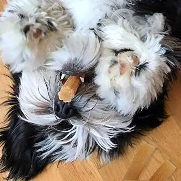 yaky CHURRO Himalaya Cheese Treats | Lactose Free | Gluten Free | Grain Free | USA MADE | for All Breeds | 4 CHURROs per Pouch | Original Cheese Flavor