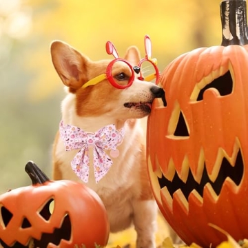 UP URARA Halloween Dog Collar with Flower Bowtie