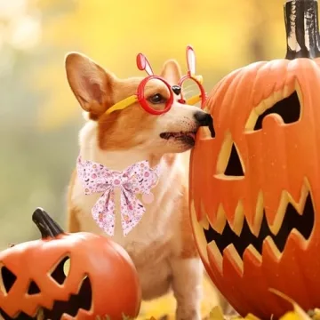 UP URARA Halloween Dog Collar with Flower Bowtie