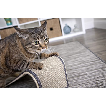 SmartyKat Sisal Angle Cat Scratch Ramp for Happy Cats