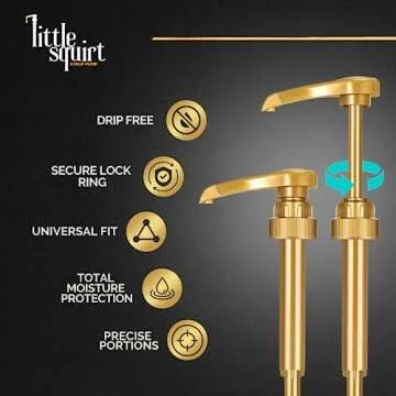 Torani Chocolate Chip Cookie Dough Syrup with Pump, 750ml