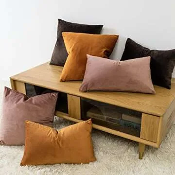 JUSPURBET Coffee Velvet Throw Pillow Covers 20x20 inch Set of 2 for Living Room Couch Bedroom Decorative Soft Cushion Cases with Invisible Zipper